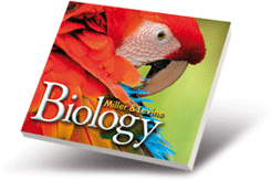Print cover illustration with parrot